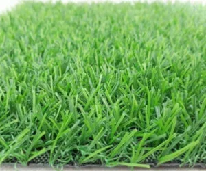 Công Ty TNHH Thể Thao Phú An Phát