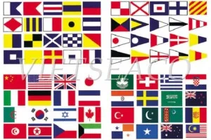 Công Ty TNHH Hàng Hải & Xuất Nhập Khẩu Biển Việt