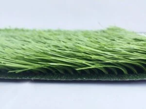 Công Ty TNHH Xuất Nhập Khẩu Thương Mại Dịch Vụ Vận Tải Lê Gia