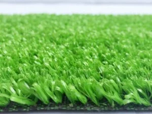 Công Ty TNHH Xuất Nhập Khẩu Thương Mại Dịch Vụ Vận Tải Lê Gia