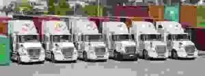 Mua Bán Và Cho Thuê Container Hoàng Gia BN – Công Ty Cổ Phần Hoàng Gia BN