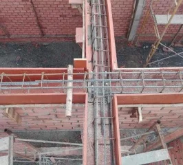 Công ty TNHH Trừ Mối Và Diệt Côn Trùng Trí Long