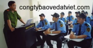 Công Ty TNHH Dịch Vụ Bảo Vệ Đất Việt – CN Huế