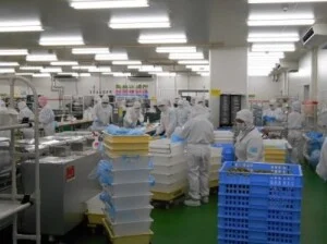 Nhân Lực Trường Thịnh – Công Ty TNHH Cung ứng Lao Động Trường Thịnh