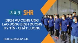 365 SHR – Công Ty TNHH Cung Ứng Nhân Lực Và Giải Pháp Nhân Sự 36