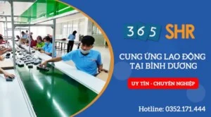 365 SHR – Công Ty TNHH Cung Ứng Nhân Lực Và Giải Pháp Nhân Sự 36