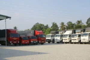 Kiến Vàng Sài Gòn – Công Ty TNHH Thương Mại Dịch Vụ Kiến Vàng Sài Gòn