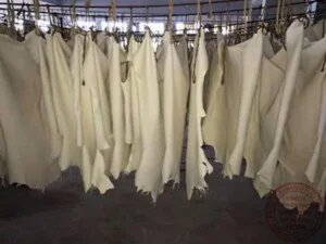 San Nguyen Leather – Công Ty TNHH Da Thuộc San Nguyên
