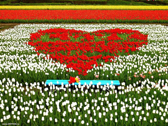 Công Ty TNHH Du Lịch Và Sự Kiện San Hô Xanh