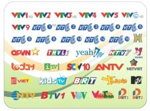 Công Ty TNHH Thương Mại Dịch Vụ Kỹ Thuật 1111
