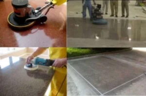 Công Ty TNHH Thương Mại Dịch Vụ CarePro Việt Nam