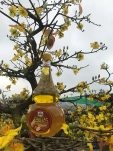 Dầu Ăn Phúc Lĩnh – Công Ty TNHH Thương Mại Phúc Lĩnh