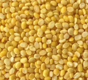 Hạt Dinh Dưỡng An Khang – Công Ty Cổ Phần Thực Phẩm An Khang