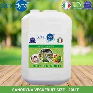 Công Ty TNHH Sanodyna Việt Nam