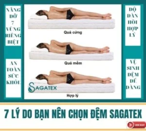Công Ty TNHH Dệt May Vải Sợi Sài Gòn