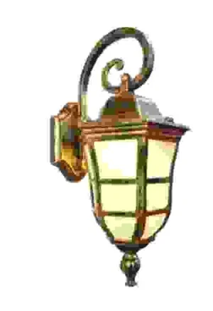 Công Ty TNHH Hổ Vương