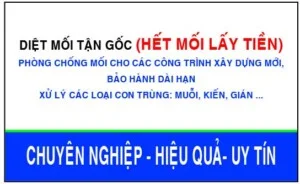 Công Ty TNHH MTV Trừ Mỗi Và Côn Trùng Bảo Tín