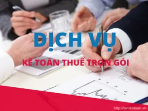 Kiểm Toán Đất Việt – Công Ty TNHH Kiểm Toán – Tư Vấn Đất Việt – Chi Nhánh Thành Nam