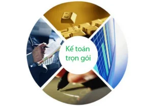 Chi Nhánh – Công Ty TNHH Tư Vấn Giải Pháp Kế Toán Việt Nam