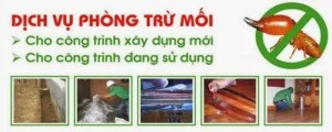 Công Ty TNHH Thương Mại Dịch Vụ Tư Vấn Tân Hùng Việt