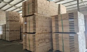 Pallet 24H – Công Ty TNHH Sản Xuất Thương Mại Dịch Vụ Pallet 24H