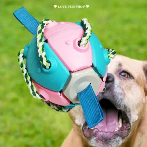 Hộ Kinh Doanh Love Pets Shop
