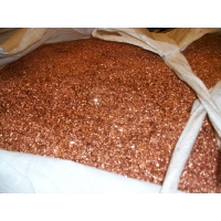 Công Ty TNHH MTV Trang Anh