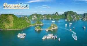Công Ty Cổ Phần Cung ứng Nghiệp Vụ Chất Lượng Cao Quốc Tế