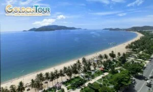 Công Ty Cổ Phần Cung ứng Nghiệp Vụ Chất Lượng Cao Quốc Tế