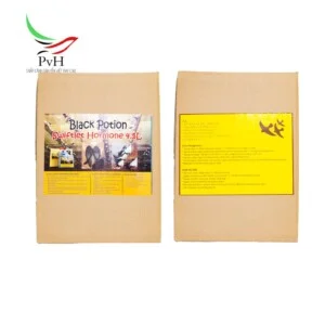 Công Ty TNHH MTV Xây Dựng Thương Mại Phan Viết Hoàng