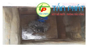 Công Ty CP Vệ Sinh Môi Trường Tấn Phát