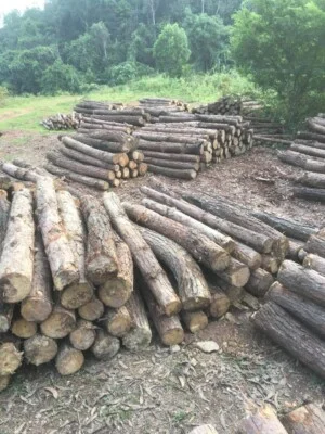 Cao Su Quang Huấn – Doanh Nghiệp Tư Nhân SX Và TM Cao Su Quang Huấn