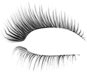 Lông Mi Sắc Đẹp Việt – Cơ Sở Lông Mi Giả XB BEAUTY