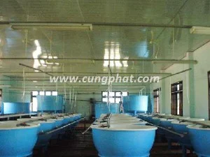 Công Ty TNHH Cung Phát