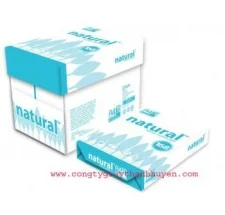 Giấy In Thanh Huyền – Công Ty TNHH MTV Giấy Thanh Huyền