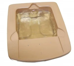 Thẩm Cương – Công Ty TNHH SX TM Thẩm Cương