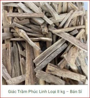 Công Ty TNHH Sản Xuất – Thương Mại Và Dịch Vụ Châu Thông