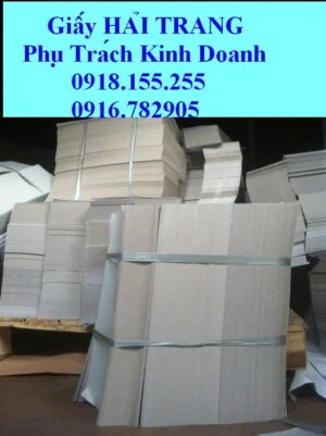 Bao Bì Nhựa Hải Trang – Công Ty TNHH Bao Bì Hải Trang