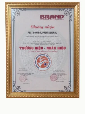 Công Ty TNHH Thương Mại – Diệt Mối Khử Trùng Hà Nội