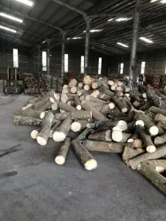 Gỗ Tân Thành – Công Ty TNHH Mỹ Nghệ Tân Thành