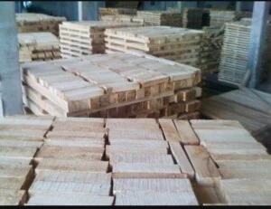 Công Ty Cổ Phần Rạng Minh (Công Ty Cổ Phần Trường Nam – Tên Cũ)