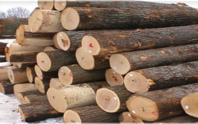 Gỗ Nguyên Liệu Solu – Công Ty TNHH Quốc Tế Solu