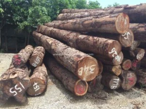 Công Ty TNHH Hoàng Đại Vương