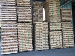 Gỗ Tân Thành – Công Ty TNHH Mỹ Nghệ Tân Thành