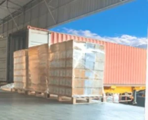 DOLPHIN SEA AIR SERVICES CORPORATION – Công Ty Cổ Phần Dịch Vụ Hàng Hải Hàng Không Con Cá Heo