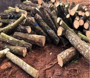 Công ty TNHH Một Thành Viên Đông Kim