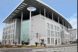 Chi Nhánh – Công Ty TNHH Chế Biến Gỗ Nam Sơn