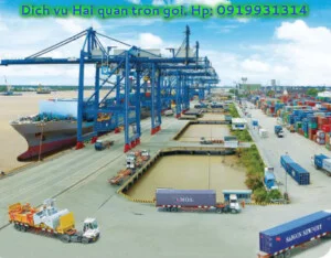 Công Ty TNHH MTV XNK Đàm Việt