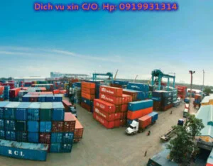 Công Ty TNHH MTV XNK Đàm Việt