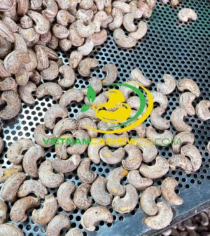 Công Ty TNHH Y Dược Thực Phẩm Việt Nhiên